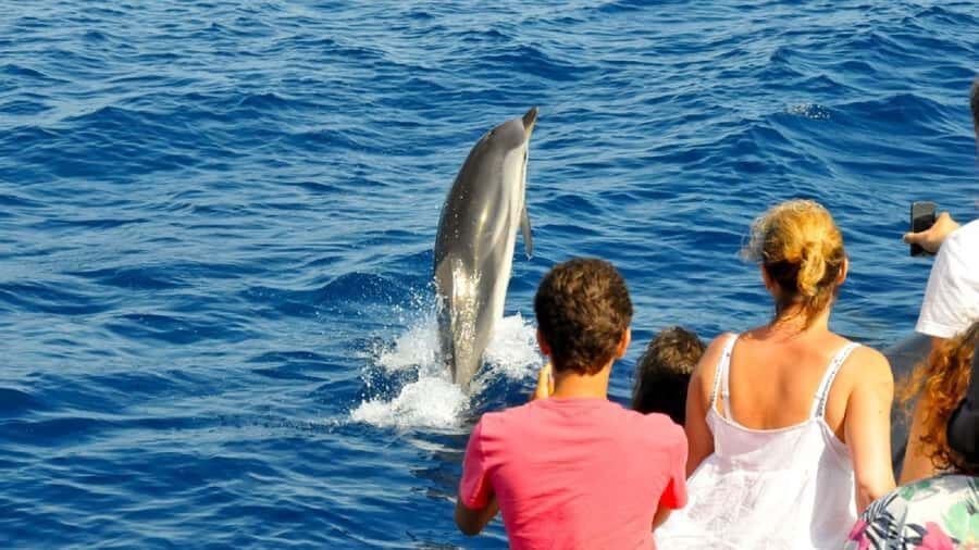 Muscat: Dolphin Watching and Snorkeling Tour - The snorkeling leg at Bandar Khiran Bay: what you’re really paying for