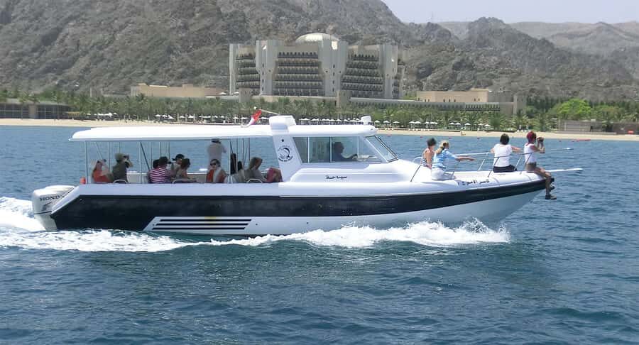 Muscat: Dolphin Watching Boat Amazing Trip - Key things that make this dolphin trip worth your time