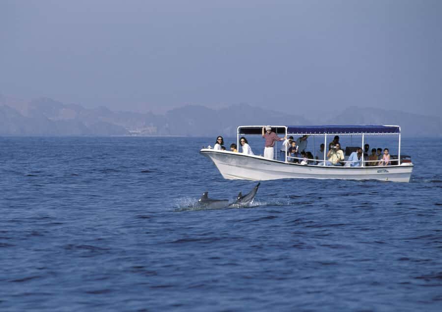 Muscat: Dolphin Watching Boat Amazing Trip - The booking reality: what to watch for so your trip runs smoothly