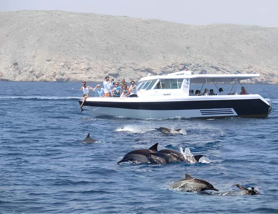 Muscat: Dolphin Watching Boat Trip with Snacks & Local Guide - Muscat Dolphin Watching: a short, well-run sea outing