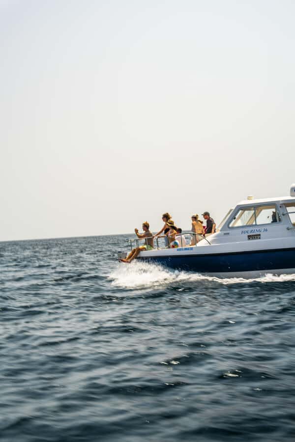 Muscat: Dolphin Watching Boat Trip with Snacks & Local Guide - What the dolphin experience is really like