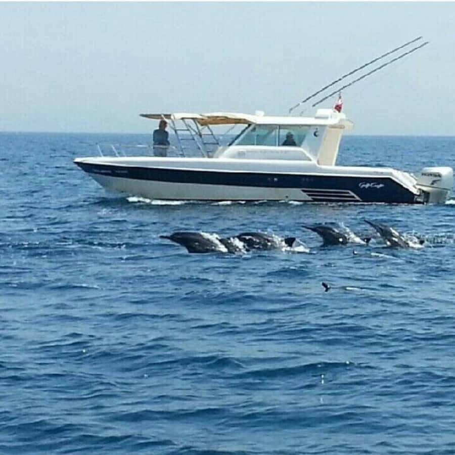 Muscat: Dolphin Watching Boat Trip with Snacks & Local Guide - The cruise route: Arch Rock and Bustan Palace views