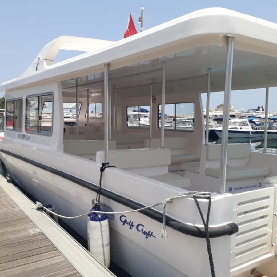 Muscat: Dolphin Watching Boat Trip with Snacks & Local Guide - Timing, waves, and that very real sea-weather factor