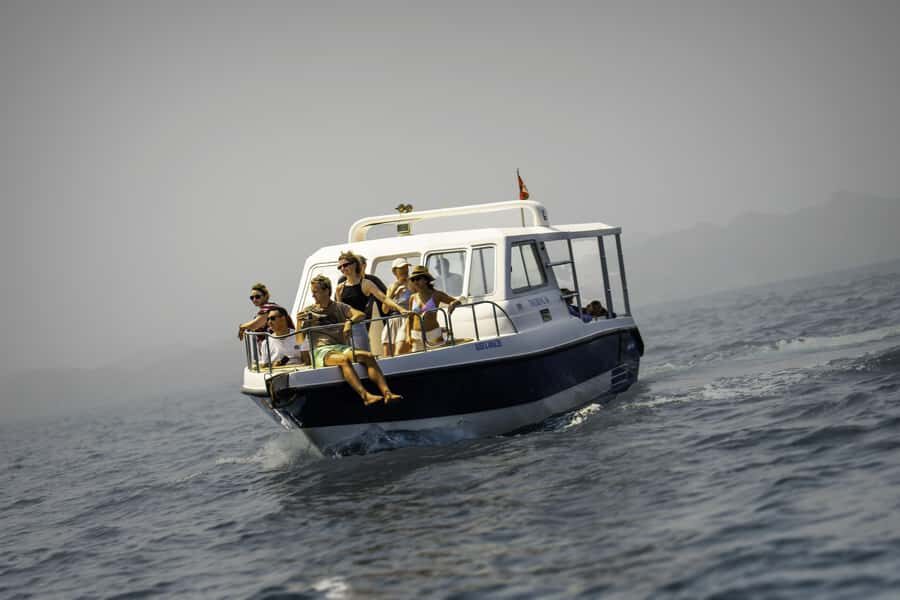 Muscat: Dolphin Watching Boat Trip with Snacks & Local Guide - Where you leave from (and how you’ll feel on the ride)
