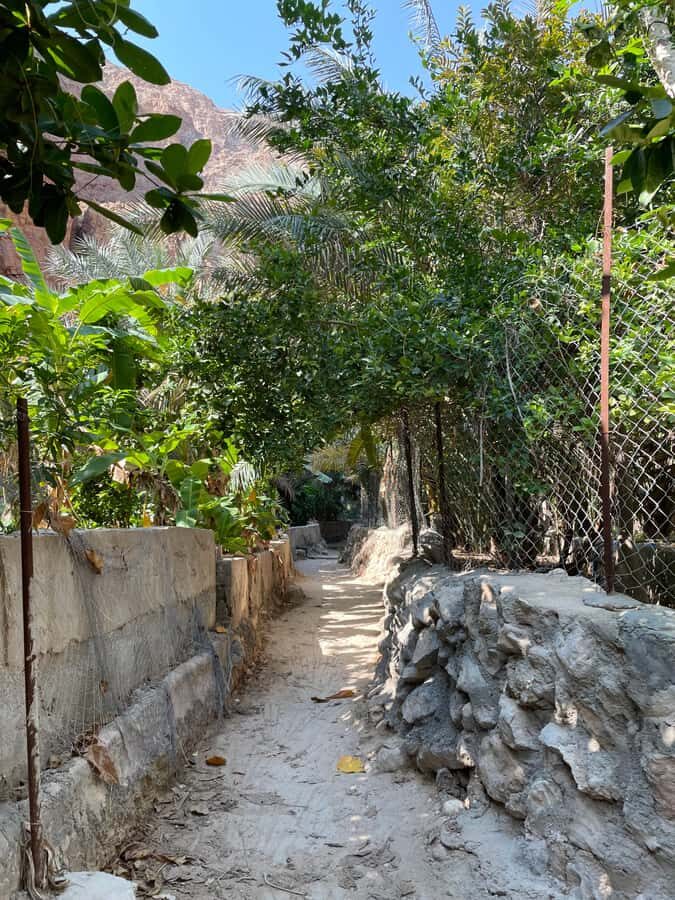 Muscat: Full-Day Wadi Shab & Bimmah Sinkhole Private Tour - Why Wadi Shab + Bimmah Works So Well as a Private Day