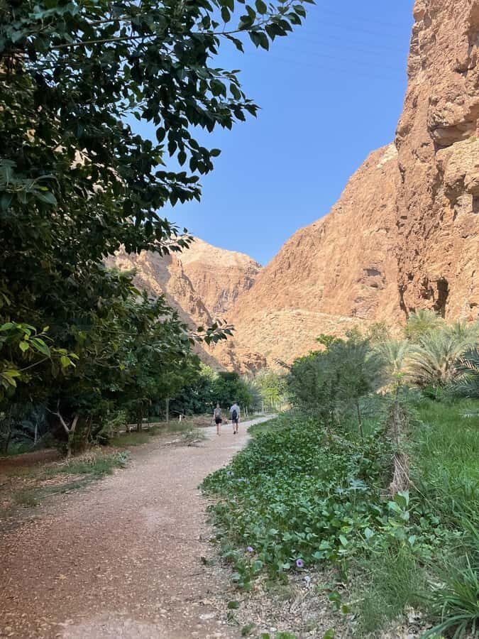 Muscat: Full-Day Wadi Shab & Bimmah Sinkhole Private Tour - Private Guide Quality: The Difference Between Hard and Enjoyable