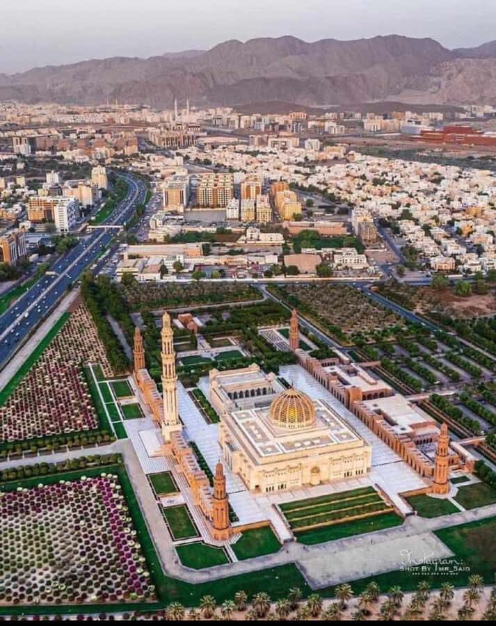 Muscat: Guided Landmarks Tour - Mutrah Corniche and the fish-market moment