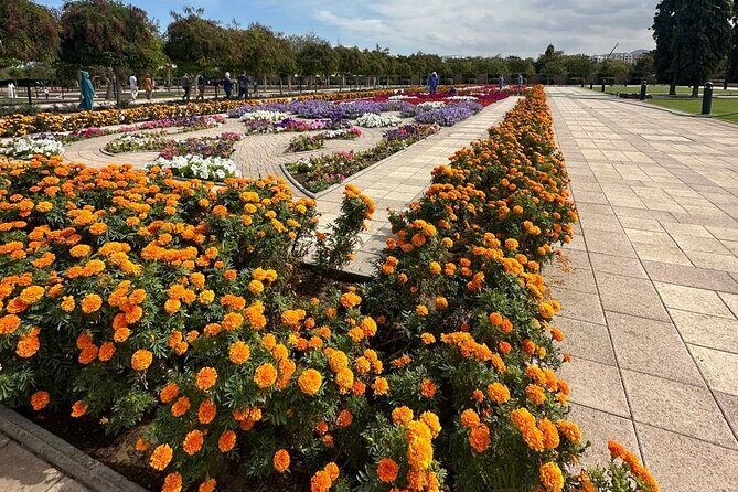 Muscat Hidden Gems Private City Tour with Different Languages - Why this Muscat private tour feels local (and not like a checklist)