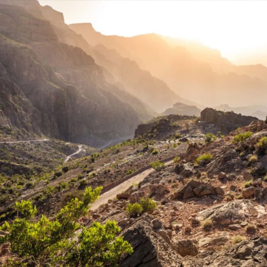Muscat: Nizwa and Jabal Shams- Full Day Tour - Lunch in Nizwa: how to use the half-hour window