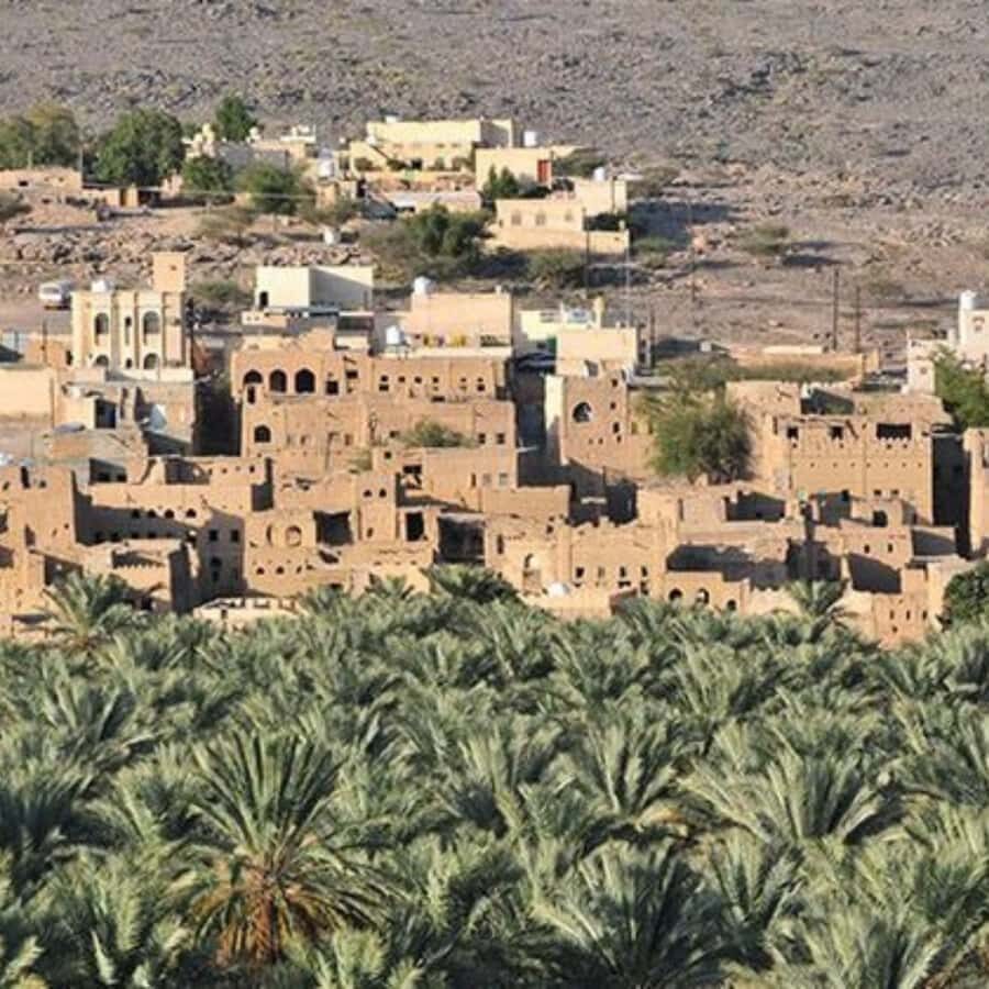 Muscat: Nizwa and Jabal Shams- Full Day Tour - Guide quality: what makes the day feel fun, not just informative