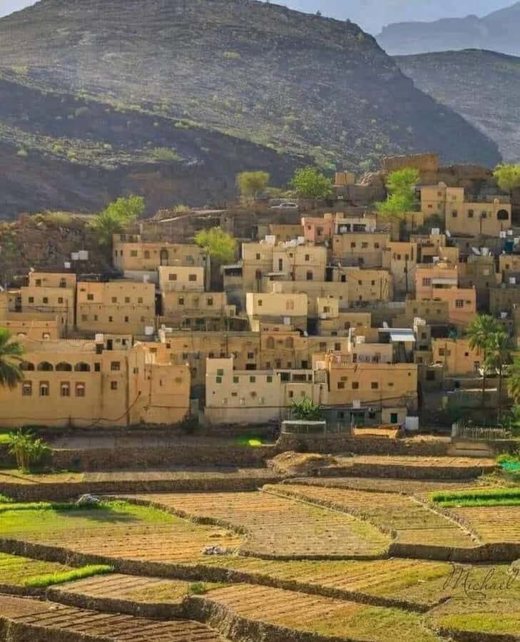 Muscat Oman Grand Canyon, Jebel Shams & Nizwa - Who should book this Nizwa + Oman Grand Canyon-style day?