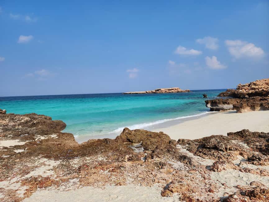 Muscat Oman: Snorkeling adventure to Daymaniyat Island - Marine conditions and crowding: the balanced reality check