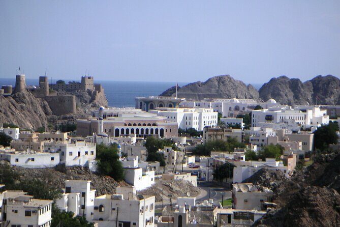 Muscat Shore Excursion: Private City Highlights Tour - Bait Al Zubair Museum: Adding Oman’s Backstory Between Stops