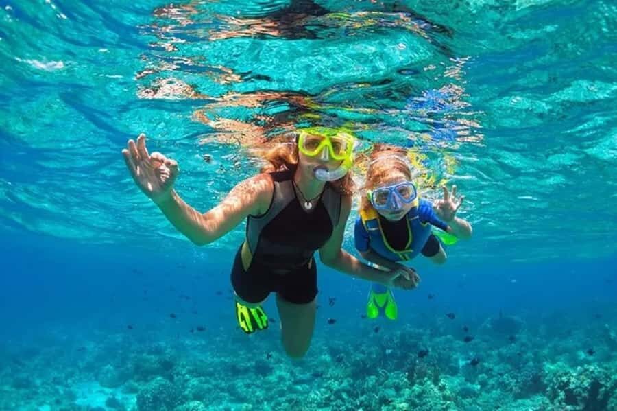 Muscat: Snorkeling and Dolphin Watching Tour - Key highlights worth your time