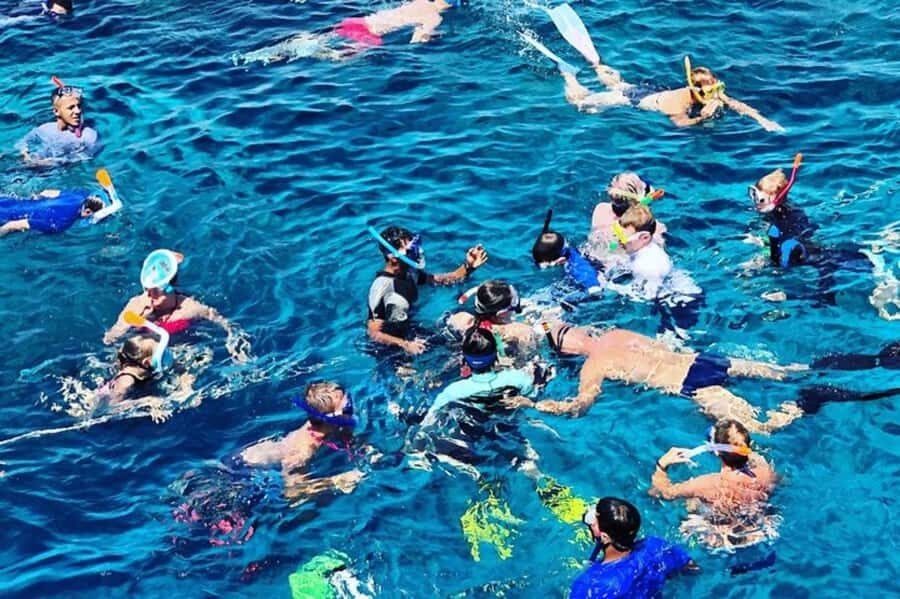 Muscat: Snorkeling and Dolphin Watching Tour - Price and value: what $50 buys (and what it doesn’t)