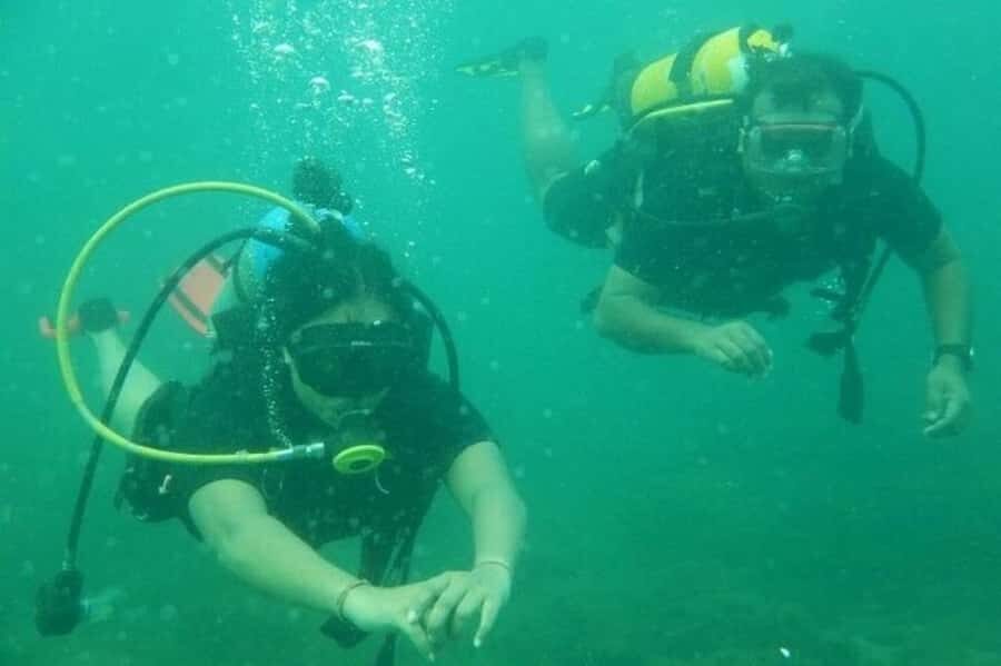 Muscat: Snorkeling and Dolphin Watching Tour - Language support in the water: English, Arabic, Hindi, Urdu