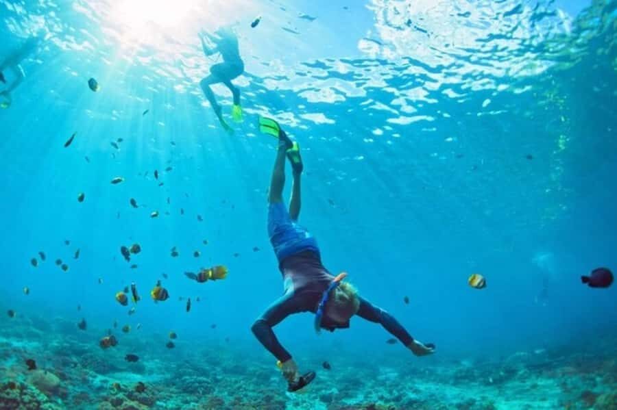 Muscat: Snorkeling and Dolphin Watching Tour - A note on expectations: match the day you booked