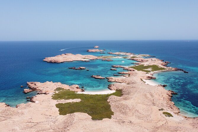 Muscat Snorkeling Trip to Daymaniyat Islands with BBQ lunch - What you can actually spot in the waters off Daymaniyat