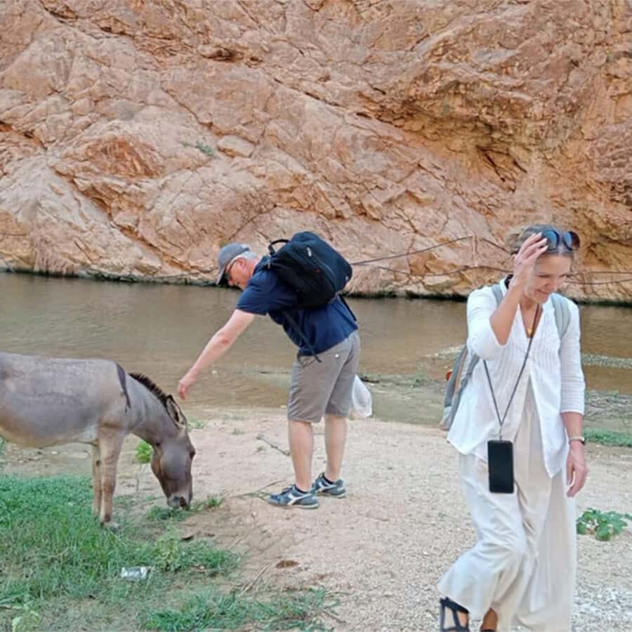 Muscat: Southern Treasures & Wadi Shab Tour with Audio Guide - Bimah Sinkhole: A Half-Salted Swim With a Dramatic Finish