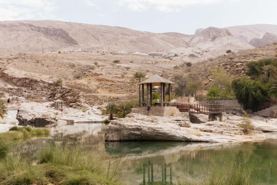 Muscat: Wadi Bani Khalid Oasis & Oman Desert Tour - Wahiba Sands dune driving: why the ride is the main event