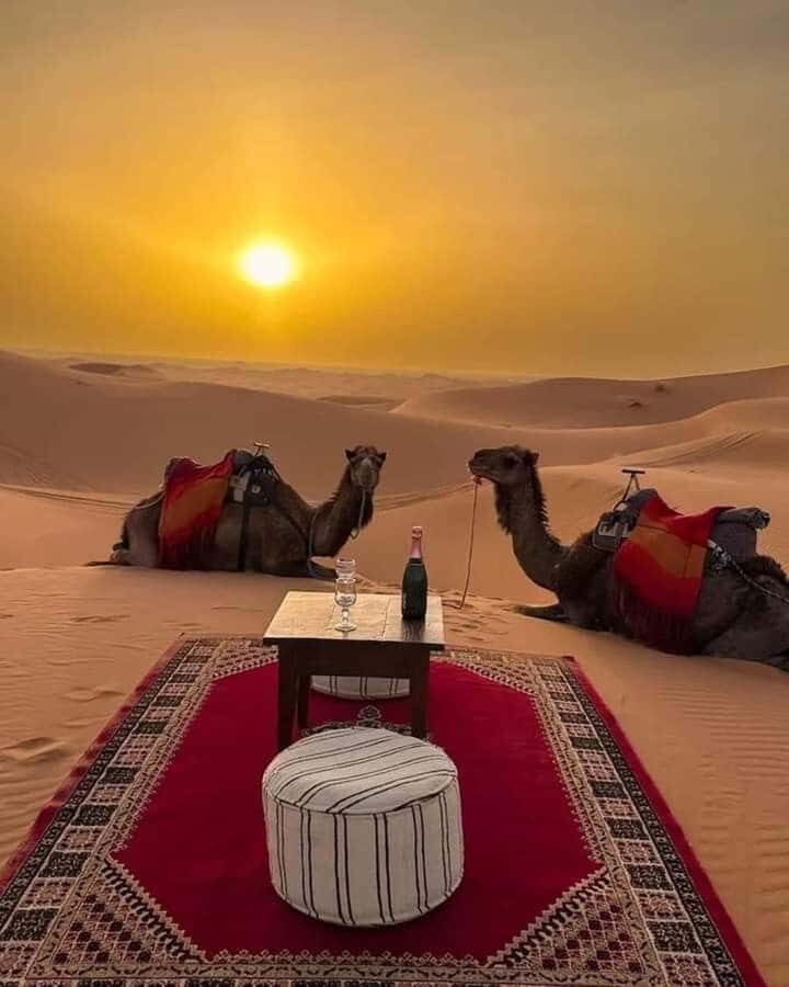 Muscat: Wadi Bani Khalid & Sunset at Wahiba Sands - Timing and drive realities from Muscat