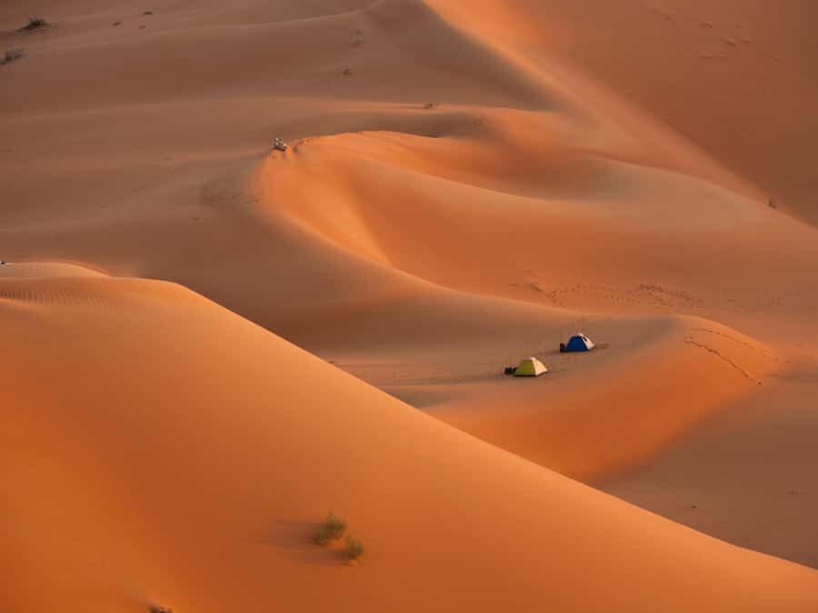 Muscat: Wahiba Sands Desert Sunset Tour with Dinner - Key takeaways before you go
