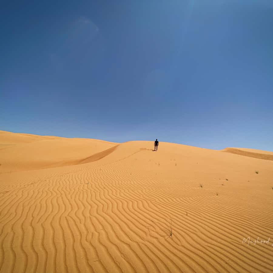 Muscat: Wahiba Sands Desert & Wadi Bani Khalid Full Day Tour - Why Wahiba Sands and Wadi Bani Khalid fit together so well