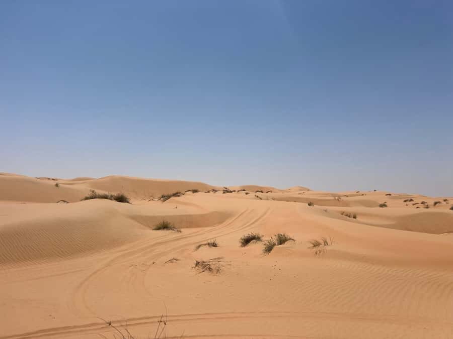 Muscat: Wahiba Sands, Wadi Bani Khalid & Mudayrib Tour - Wahiba Sands: dune drive, barefoot sand, and the wow factor