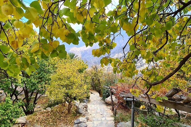 Nakhal Hotspring and Wakan Village Private Full Day Tour - Price and what you actually get for $173.60 per person