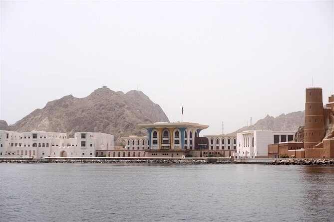 Oman Dolphin Watching Tours - Price and Value: What $52.31 Really Buys You