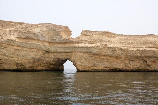 Oman Dolphin Watching Tours - Getting On the Boat at Marina Bandar Al Rowdha (and What to Expect Next)
