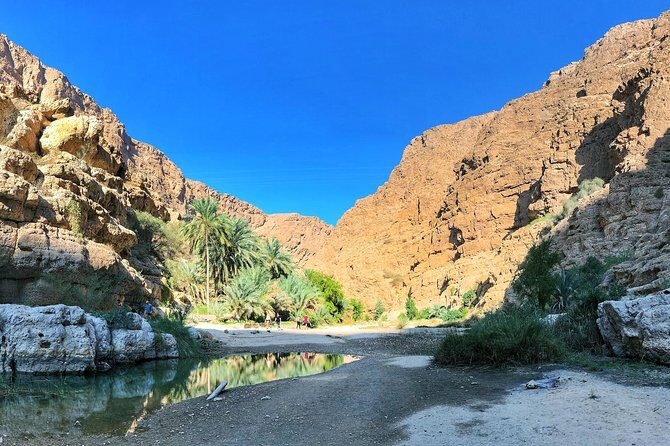 Oman Explorer: City, Wadis, and Desert 5-Day Adventure - Day 2: Muscat in One Day—Grand Mosque, Opera House, Souqs, and Museum Rooms