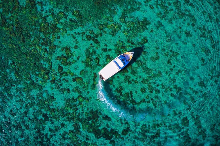 Oman: Snorkeling Trip at Daymaniyat Islands - Price and what $94 actually covers (and what you must bring)