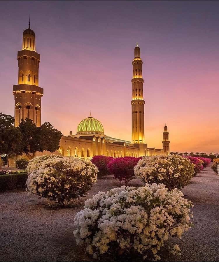 Oman:Group Muscat City Tour With Pick Up & Free Lunch/Dinner - Sultan Qaboos Grand Mosque: The Details You’ll Want to Spot