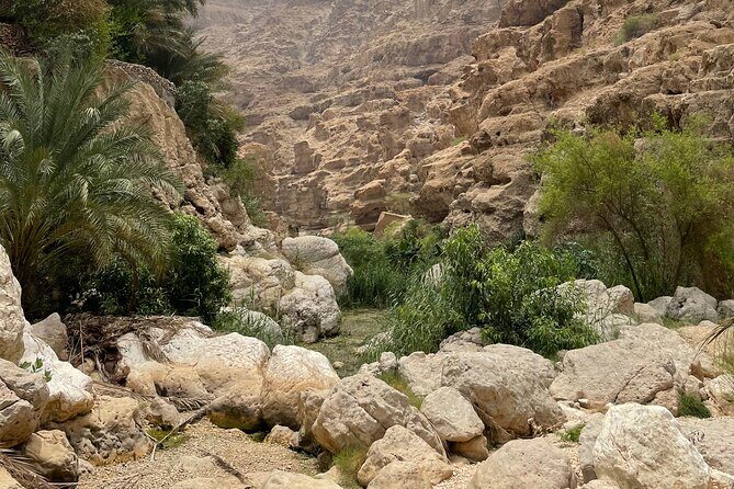 Private Day Trip to Wadi Shab, Fins Beach & Bimmah Sinkhole - Should You Book This Private Wadi Shab, Fins Beach & Bimmah Trip?