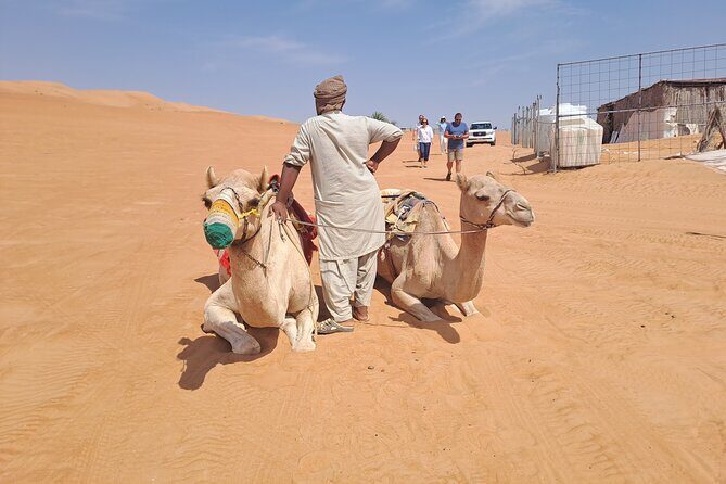 Private Desert and Wadi Tour in Oman - Wadi Bani Khalid: swimming pools, palms, and cliff-jump options