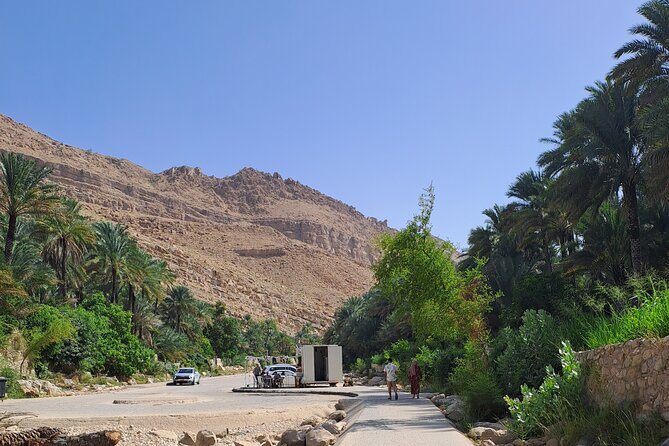 Private Desert and Wadi Tour in Oman - Who should book this desert and wadi tour (and who might not)