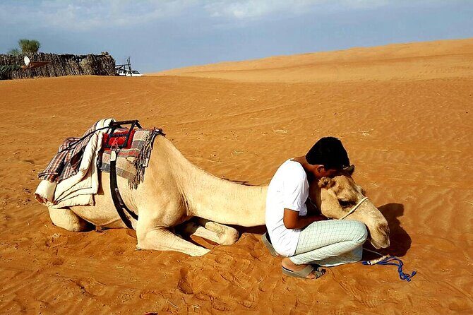Private Desert Tour with Activities - Full Day - Dune drive back toward sunset: thrill without going overboard
