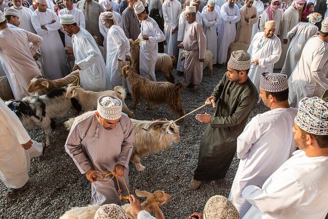 Private Explore Oman Grand Canyon, Jebel Shams and Nizwa - The Morning Drive: Hajar Mountains to Nizwa