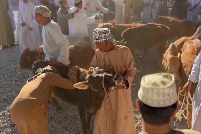 Private Friday Cattle Market-Nizwa and Jebel Akhdar-Full-Day Tour - Nizwa Fort: Museum Rooms, Fortress Function, and Mountain Views