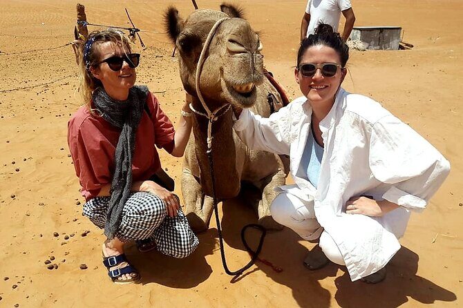 Private Full Day Private Desert Safari Tour - The Bedouin House Stop: Coffee, Dates, and Human Details