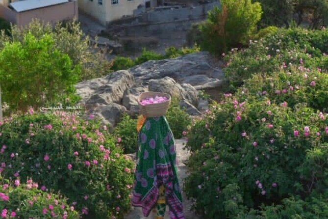Private Oman Full Day Guided Sightseeing Tour - Birkat Al Mouz Ruins and Falaj Al-Khattamin: The Hidden Genius of Water