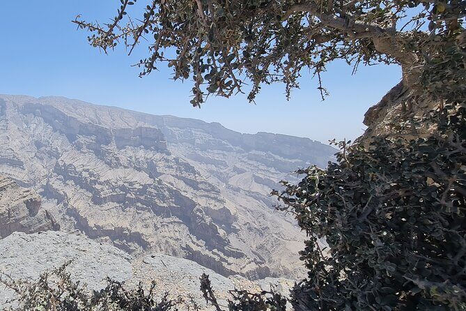 Private Overnight Nizwa & Jebel Akhdar Tour from Muscat - Jebel Akhdar: the Green Mountain at an overnight pace