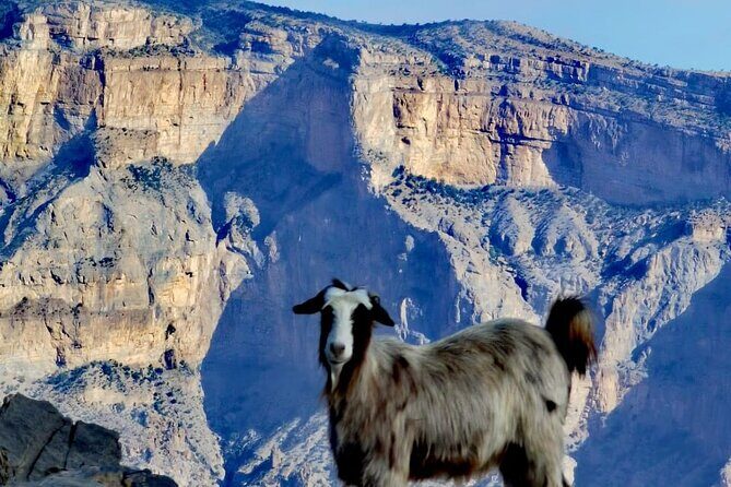 Private Overnight Nizwa & Jebel Akhdar Tour from Muscat - Al Hamra old village: the calm interlude between major sites