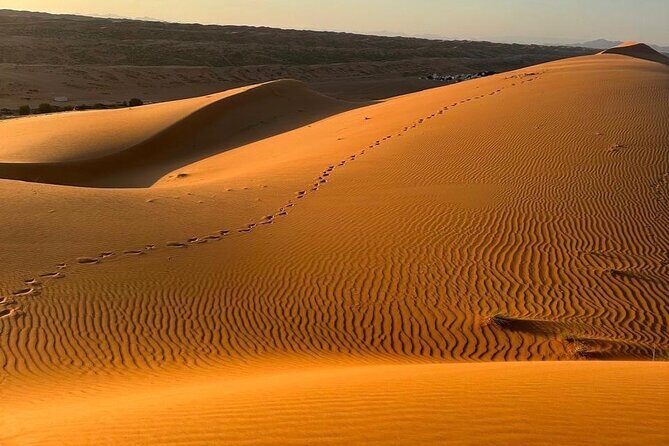 Private Safari tour and Wadi in 4x4 with a local guide - Key highlights worth planning around