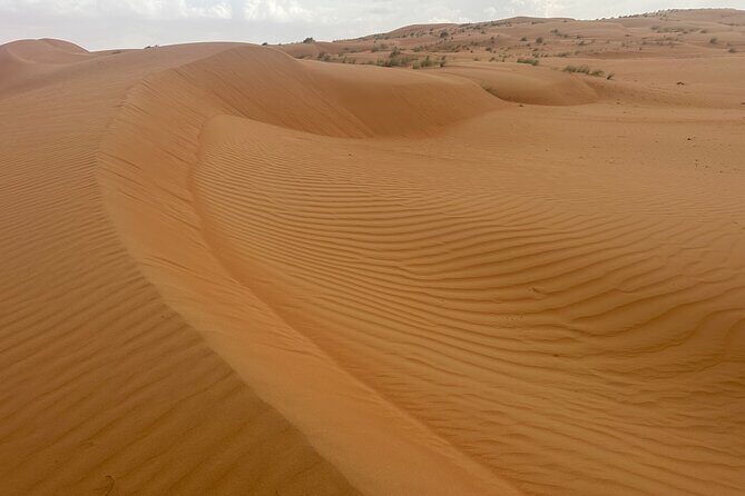 Private Safari tour and Wadi in 4x4 with a local guide - The big idea: Wahiba Sands dunes meet a wadi cool-down