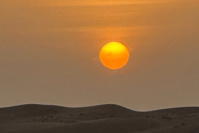 Private Safari tour and Wadi in 4x4 with a local guide - Wadi stop: turquoise pools, palms, and trails you can choose