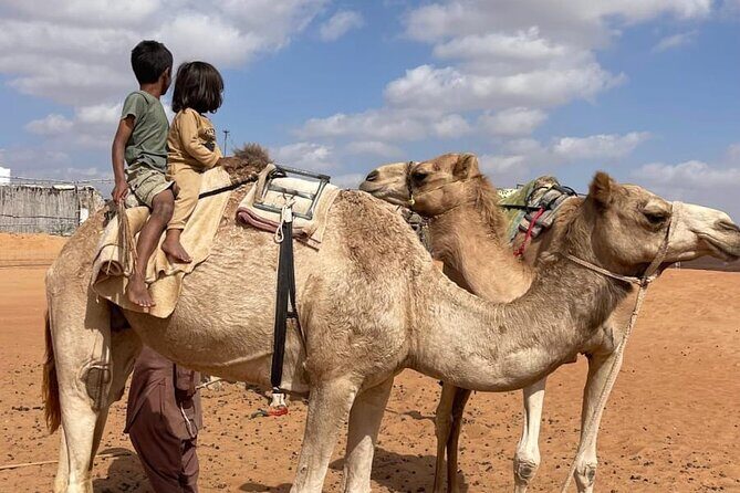 Private Sunset Watching Desert Safari with Dinner - Camel ride add-on: short, optional, and easy to budget for