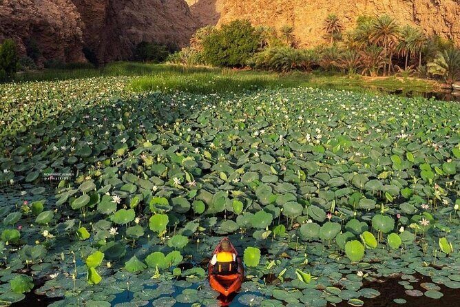 Private Trip in Wadi Shab - Quick highlights you’ll actually use