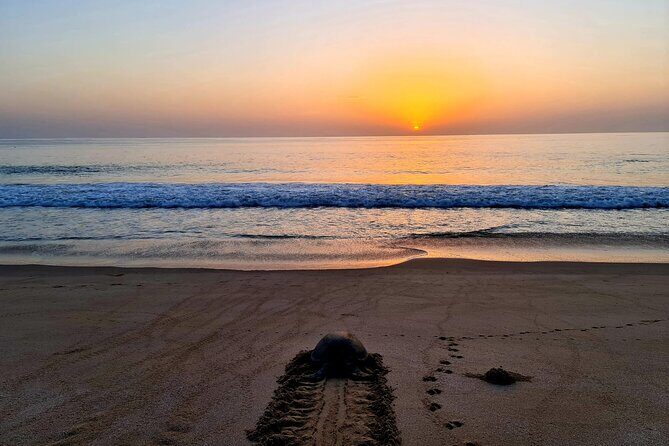 Private Wadi Shab - Ras Al Hadd Overnight - 2 Days Tours - Logistics that actually matter: long drives, private pacing, and what to pack